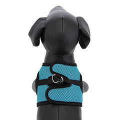 Step-in Cirque Dog Harness - Teal