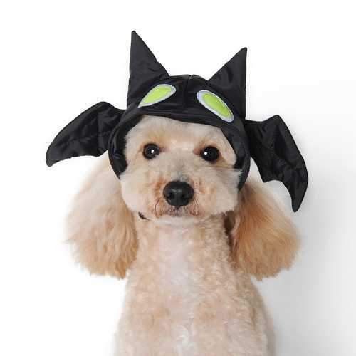 Halloween Bat Dog Hat by Dogo