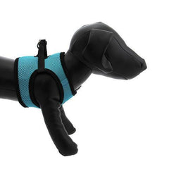 Step-in Cirque Dog Harness - Teal