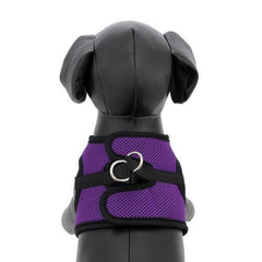 Step-in Cirque Dog Harness - Purple