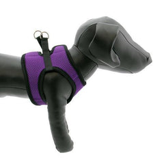 Step-in Cirque Dog Harness - Purple