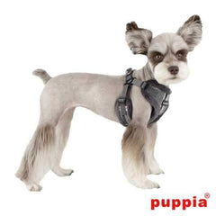 Kemp Dog Harness by Puppia - Gray