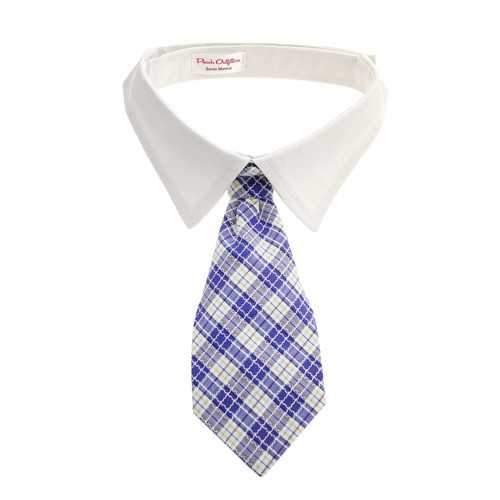 Kevin Dog Shirt Collar and Tie  - Blue Plaid