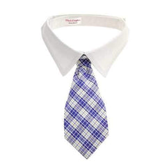 Kevin Dog Shirt Collar and Tie  - Blue Plaid