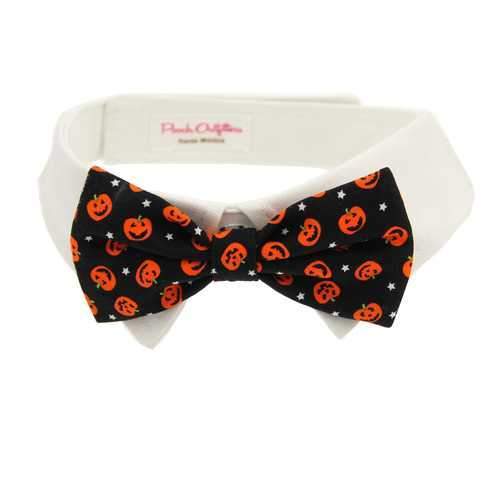 Pumpkin Dog Shirt Collar and Bow Tie