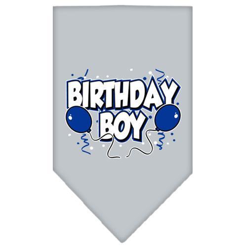 Birthday Boy Screen Print Dog Bandana - Gray