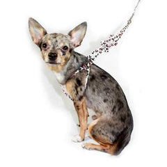 Pink Snow Leopard Bone Step In Dog Harness by Hip Doggie