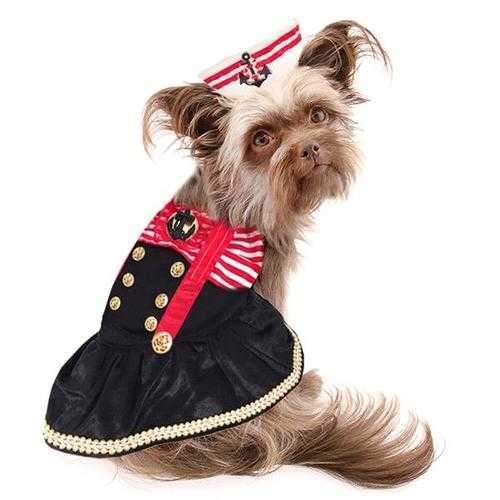 Captains Mate Dog Costume
