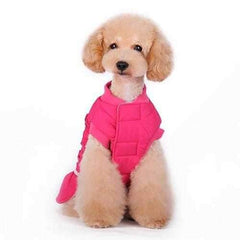 Sweet Winter Dog Coat by Dogo - Pink