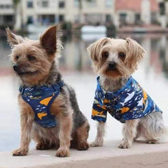 Wrap and Snap Choke Free Dog Harness by Doggie Design - Island Sharks