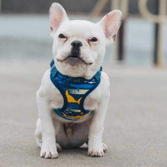 Wrap and Snap Choke Free Dog Harness by Doggie Design - Island Sharks