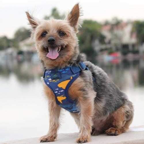 Wrap and Snap Choke Free Dog Harness by Doggie Design - Island Sharks