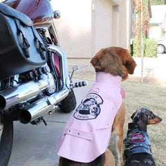 Biker Dawg Motorcycle Dog Jacket by Doggie Design - Pink