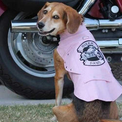 Biker Dawg Motorcycle Dog Jacket by Doggie Design - Pink