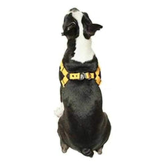 Active X Step-In Dog Harness by Gooby - Orange