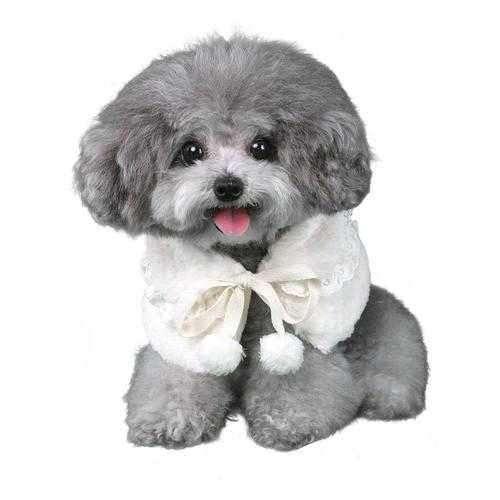 Nora Dog Capelot - White