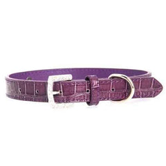 Faux Crocodile Two Tiered Dog Collar with 18MM Letter Strap - Purple