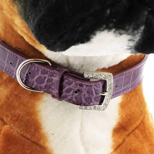 Faux Crocodile Two Tiered Dog Collar with 18MM Letter Strap - Purple