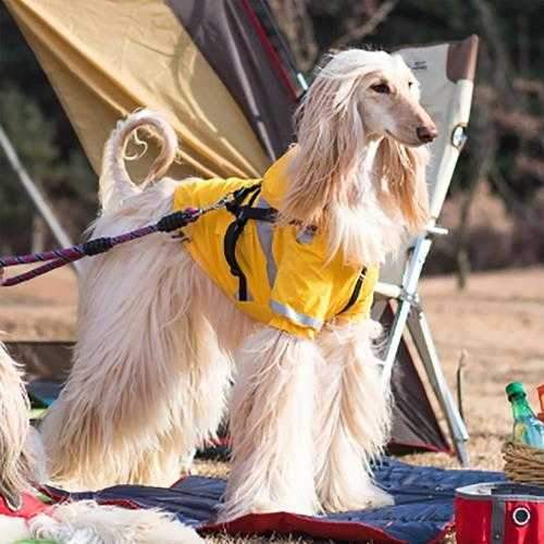 Wilderness Hooded Dog Raincoat by Puppia Life- Yellow
