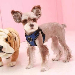 Trek Adjustable Step-In Dog Harness by Puppia Life - Royal Blue
