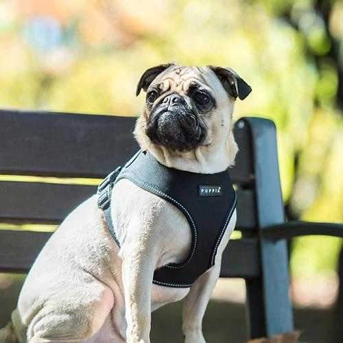 Trek Snugfit Dog Harness by Puppia Life - Black