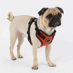 Trek Safety Dog Harness by Puppia Life - Orange