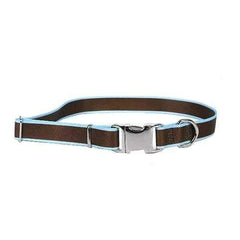 Sterling Dog Collar by Yellow Dog - Brown with Light Blue