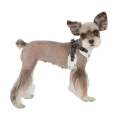 Algo Adjustable Step-In Dog Harness by Puppia - White