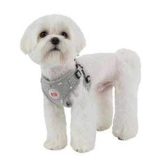 Algo Adjustable Step-In Dog Harness by Puppia - Gray