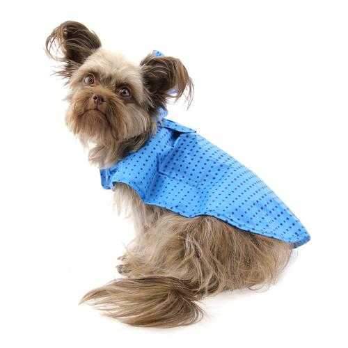 Pitter Patter Packable Dog Rain Poncho - Cyan Halftone