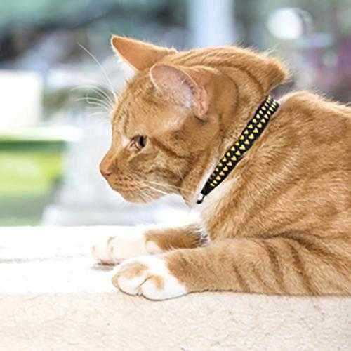 Kitty Breakaway Cat Collar - Heart of Gold