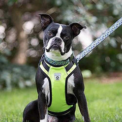 Vest Dog Harness by Canine Friendly - Lime Green