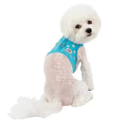 Chic Pinka Dog Harness by Pinkaholic - Blue