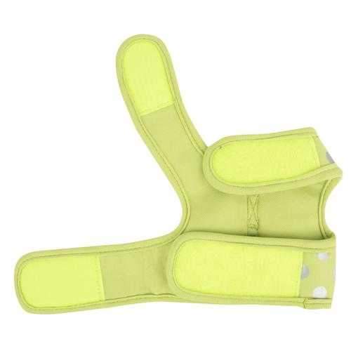Chic Pinka Dog Harness by Pinkaholic - Lime