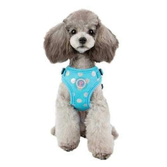 Chic Step-In Adjustable Dog Harness by Pinkaholic - Blue