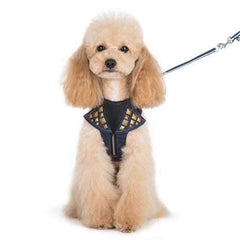 EasyGo Denim Dog Harness by Dogo