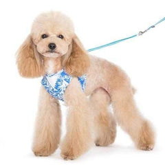EasyGo Hawaii Dog Harness by Dogo - Blue