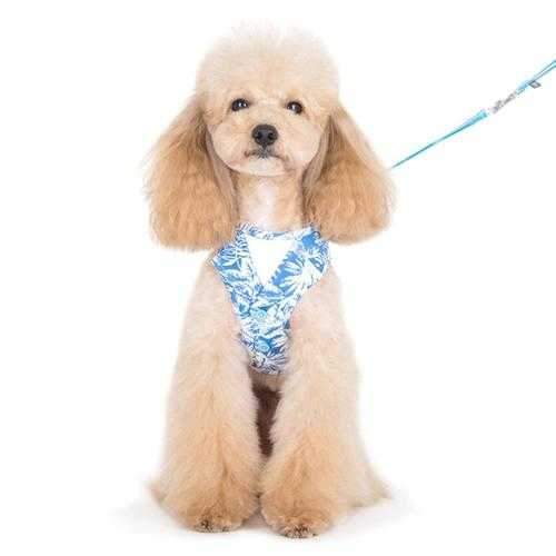 EasyGo Hawaii Dog Harness by Dogo - Blue