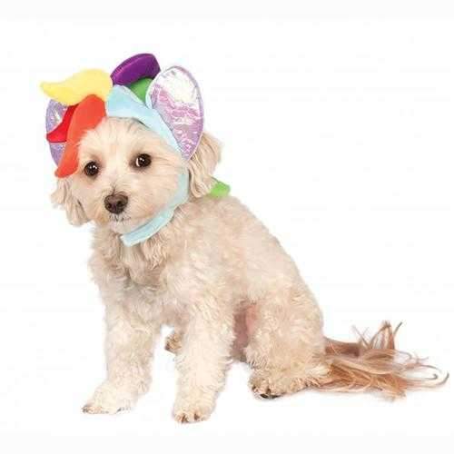 My Little Pony Rainbow Dash Dog Hood Costume