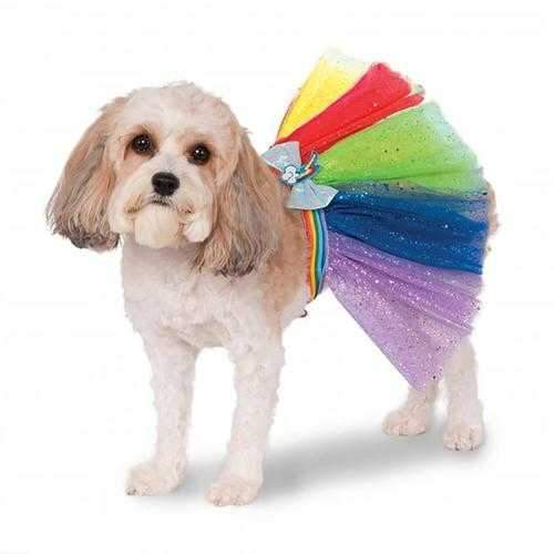 My Little Pony Rainbow Dash Dog Tutu Costume