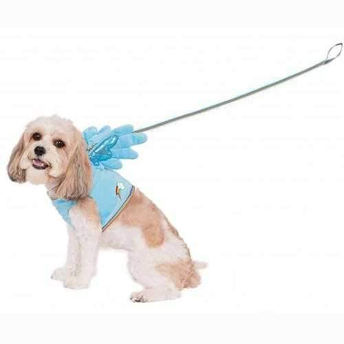 My Little Pony Rainbow Dash Wing Dog Harness Costume