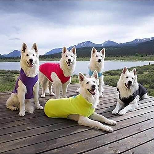 RC Baseline Fleece Dog Pullover - Lime and Teal