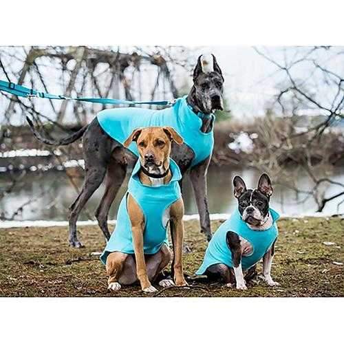 RC Pet Baseline Fleece Dog Pullover - Teal and Orange