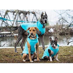 RC Pet Baseline Fleece Dog Pullover - Teal and Orange