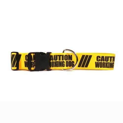 Caution Dog Collar by Yellow Dog - Working Dog