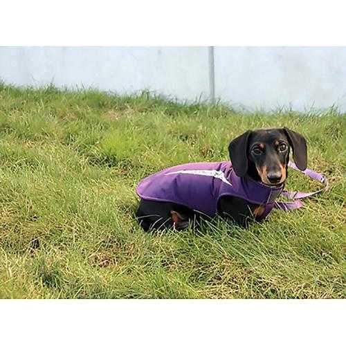 Cascade Dog Coat - Plum Purple