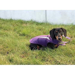 Cascade Dog Coat - Plum Purple