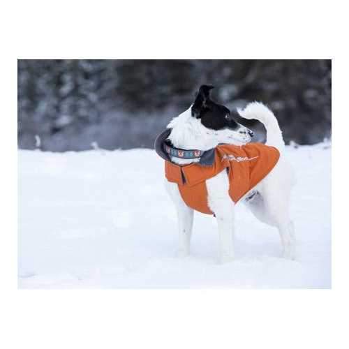Cascade Dog Coat - Burnt Orange
