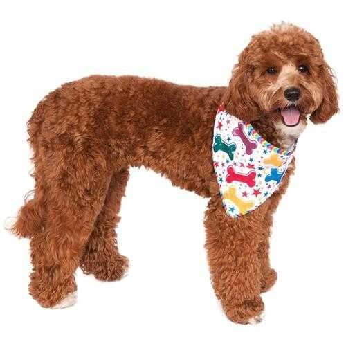 It's My Barkday Reversible Dog Bandana