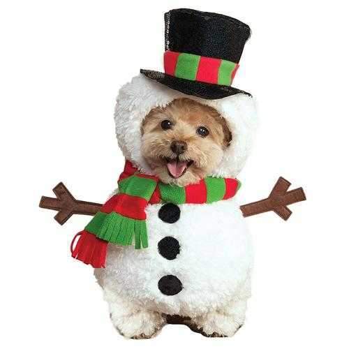 Walking Snowman Dog Costume